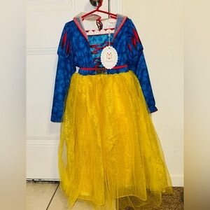 Disney Blue and Yellow Princess Dress